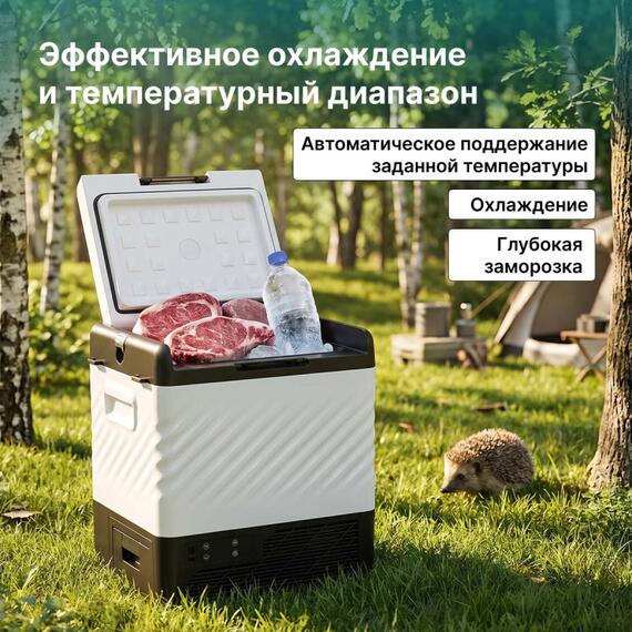 Автохолодильник Alpicool P22 (12/24), фото , изображение 27