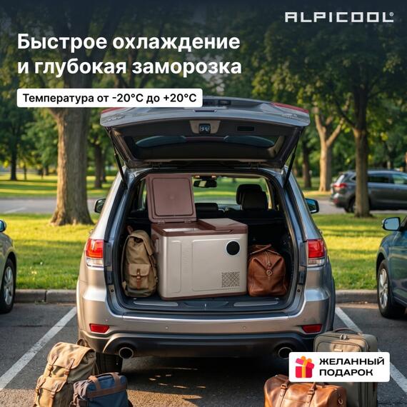 Автохолодильник Alpicool WH48 (12/24), Внутренний объем: 48 л, фото , изображение 21
