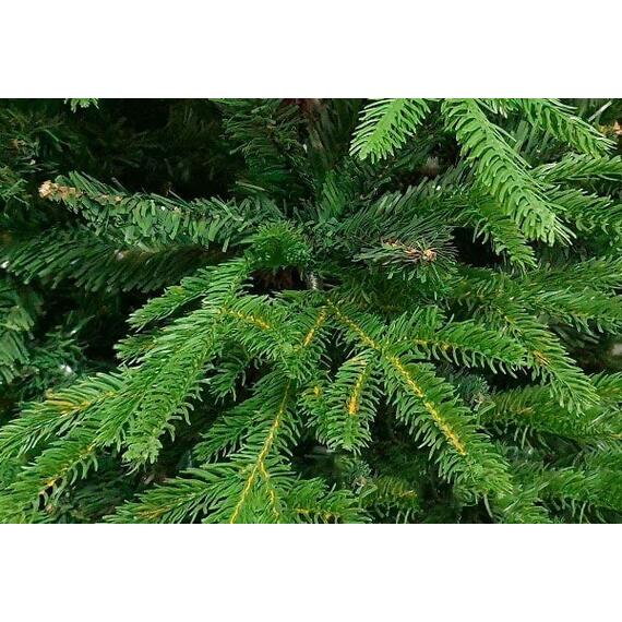 Ель новогодняя с комбинированной хвоей Verona 300 см GrandSITI