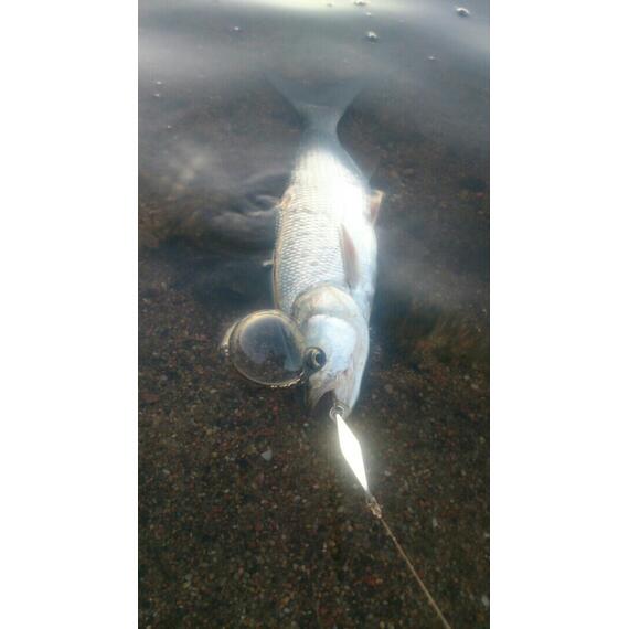 Блесна RB Стиллер (ромбик Ишутина) 16гр 02, Цвет: 02, Вес блесны (г): 16, фото , изображение 5