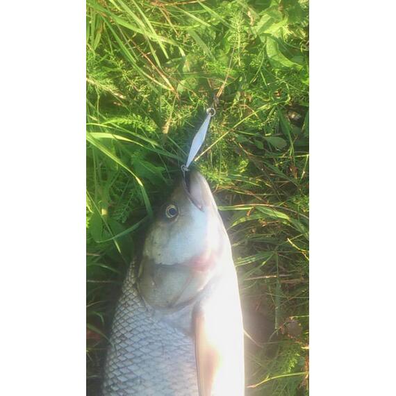 Блесна RB Стиллер (ромбик Ишутина) 16гр 02, Цвет: 02, Вес блесны (г): 16, фото , изображение 10