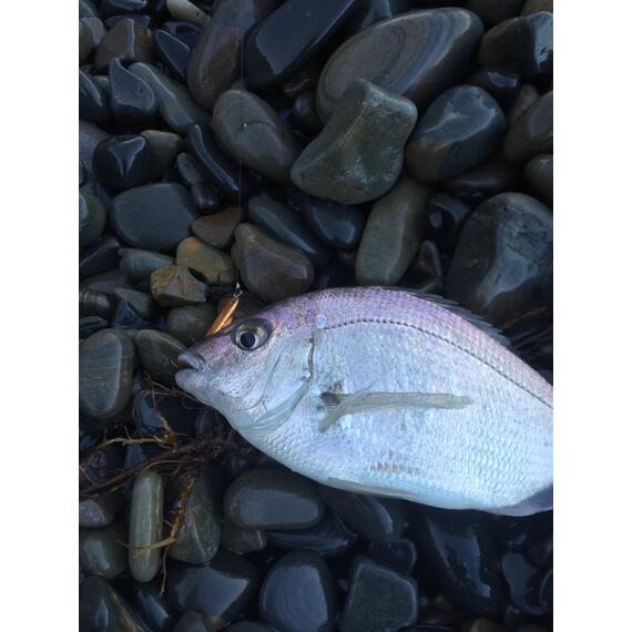 Блесна RB Стиллер (ромбик Ишутина) 16гр 02, Цвет: 02, Вес блесны (г): 16, фото , изображение 11