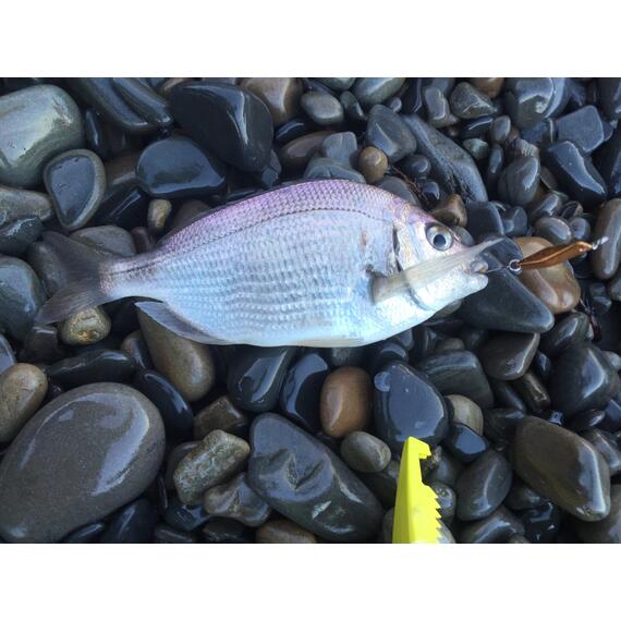 Блесна RB Стиллер (ромбик Ишутина) 16гр 04, Цвет: 04, Вес блесны (г): 16, фото , изображение 12