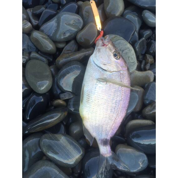 Блесна RB Стиллер (ромбик Ишутина) 24гр 01, Цвет: 01, Вес блесны (г): 24, фото , изображение 15