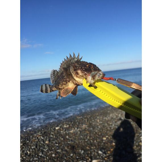 Блесна RB Стиллер (ромбик Ишутина) 16гр 04, Цвет: 04, Вес блесны (г): 16, фото , изображение 16