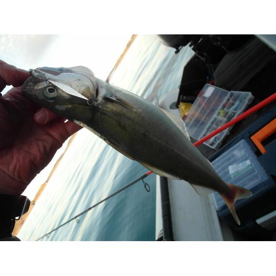 Блесна RB Стиллер (ромбик Ишутина) 16гр 02, Цвет: 02, Вес блесны (г): 16, фото , изображение 20