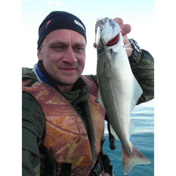 Блесна RB Стиллер (ромбик Ишутина) 24гр 01, Цвет: 01, Вес блесны (г): 24, фото , изображение 21