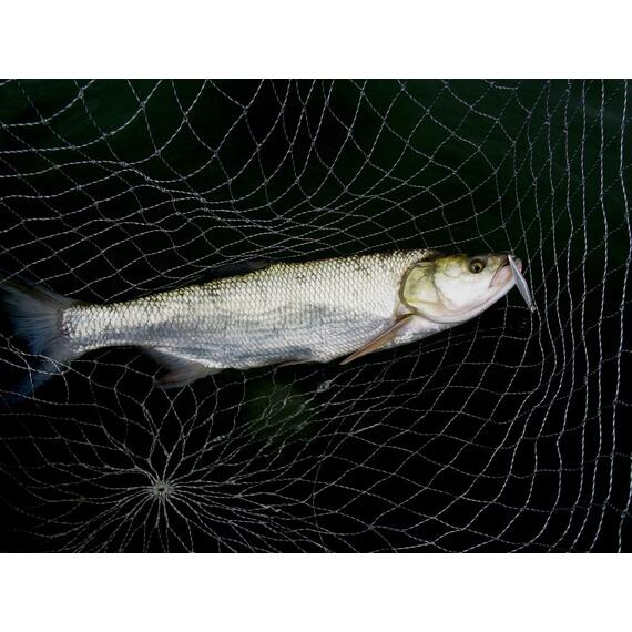 Блесна RB Стиллер (ромбик Ишутина) 16гр 04, Цвет: 04, Вес блесны (г): 16, фото , изображение 23