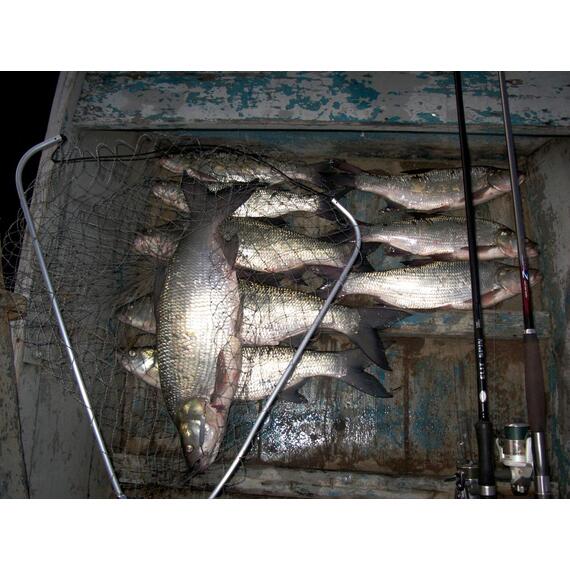 Блесна RB Стиллер (ромбик Ишутина) 24гр 01, Цвет: 01, Вес блесны (г): 24, фото , изображение 24