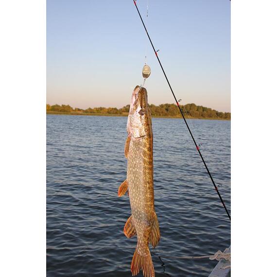 Блесна RB Пеликан 14 гр 01, Цвет: 01, Вес блесны (г): 14, фото , изображение 4