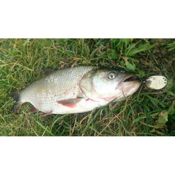 Блесна RB Пеликан 21гр 02, Цвет: 02, Вес блесны (г): 21, фото , изображение 5