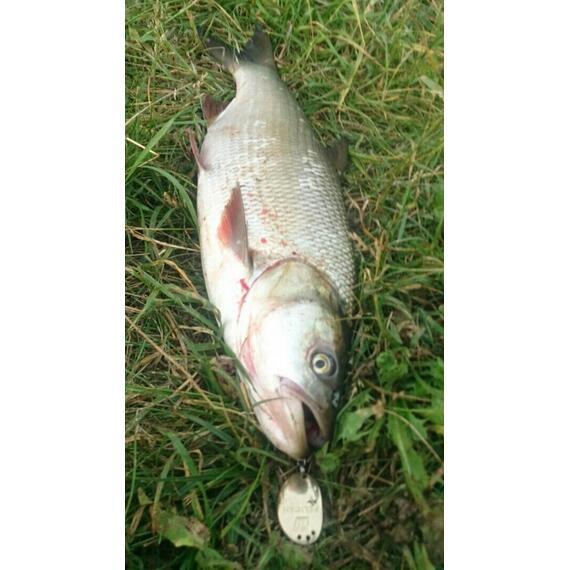 Блесна RB Пеликан 21гр 02, Цвет: 02, Вес блесны (г): 21, фото , изображение 6