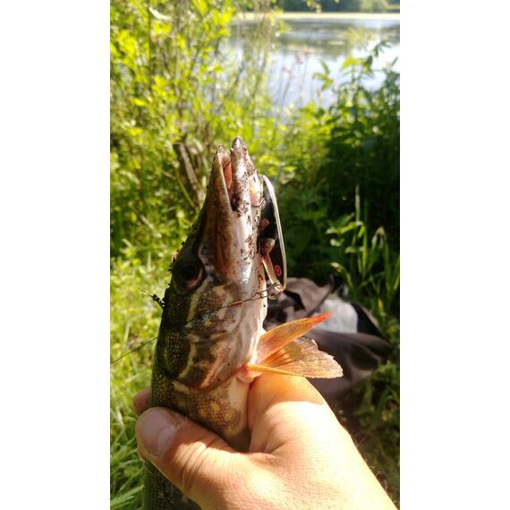 Блесна RB Черноспинка 17гр 02, Цвет: 02, Вес блесны (г): 17, фото , изображение 4