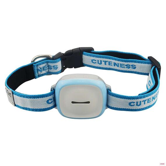 GPS Ошейник GT011, фото 