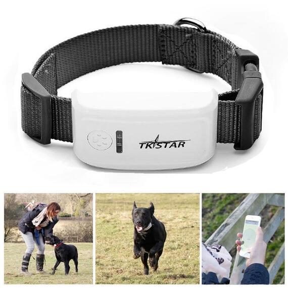 GPS Ошейник TK STAR 909, фото , изображение 5