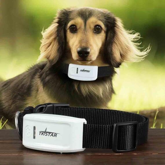 GPS Ошейник TK STAR 909, фото , изображение 8