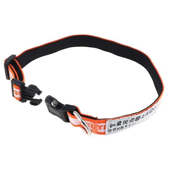 GPS Ошейник GT011, фото , изображение 11