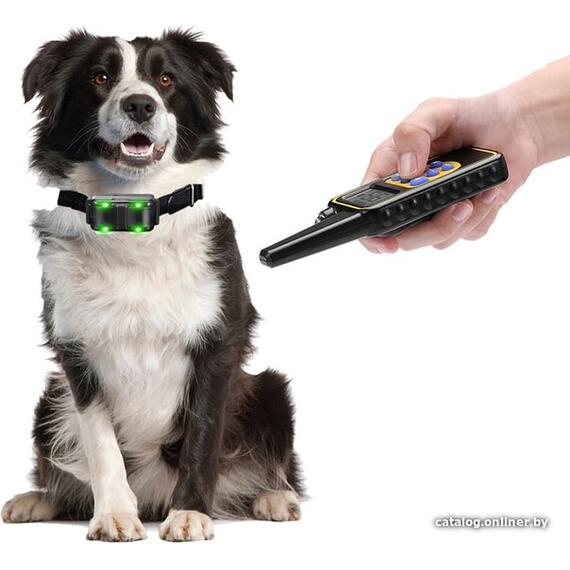 Электронный Ошейник для собак Petcomer P880, фото , изображение 5