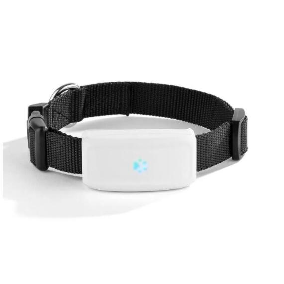 GPS ошейник TK STAR 911, фото 