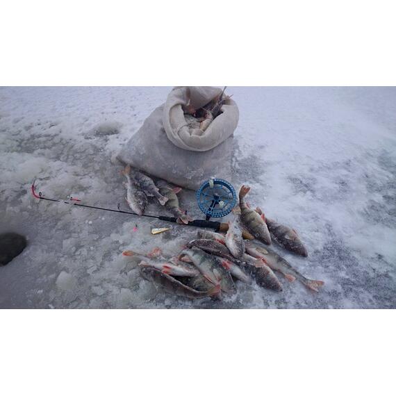 Блесна RB Parus 15 г Copper Gold, Цвет: Copper/Gold (Медь/Золото), Вес блесны (г): 15, фото , изображение 4