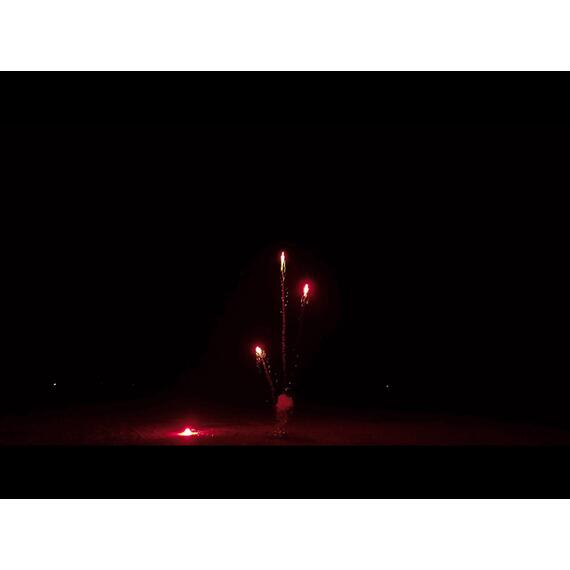 Батарея салютов 48 Попугаев МЕГАПИР, фото , изображение 6