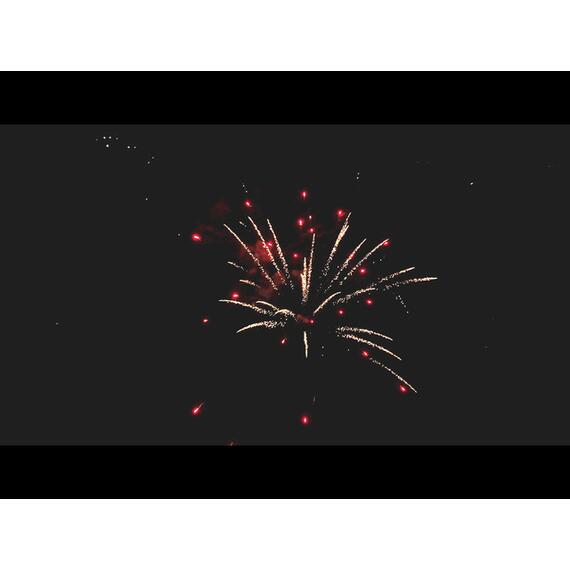 Батарея салютов Сафари МЕГАПИР, фото , изображение 7