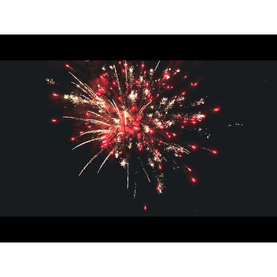 Батарея салютов Сафари МЕГАПИР, фото , изображение 9