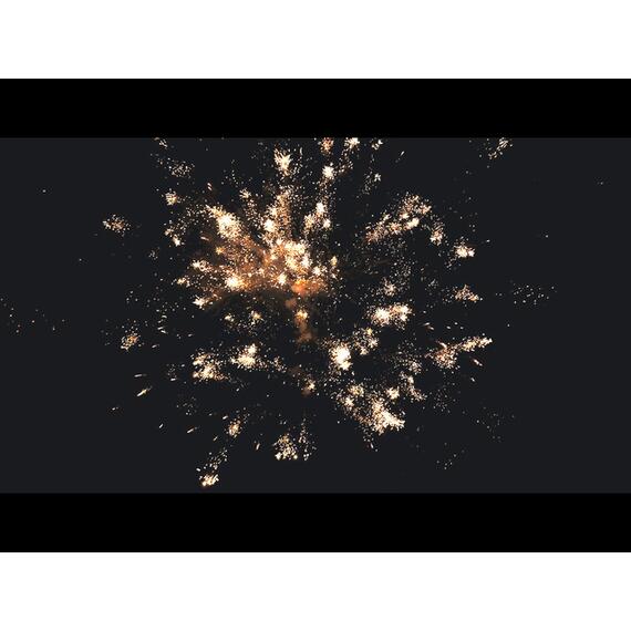 Батарея салютов Сафари МЕГАПИР, фото , изображение 10