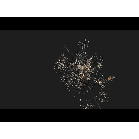 Батарея салютов Сады Эдема МЕГАПИР, фото , изображение 11