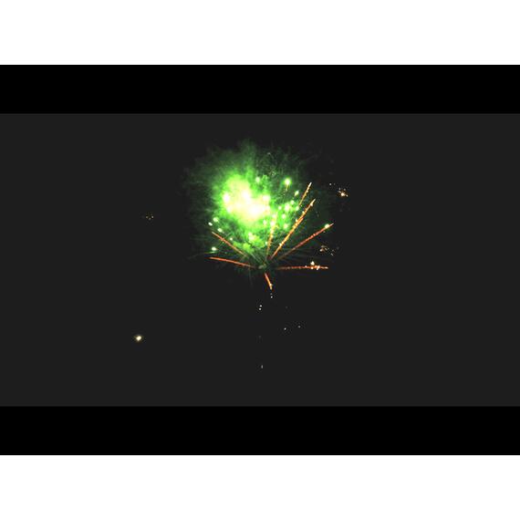 Батарея салютов Золотой Лев МЕГАПИР, фото , изображение 12