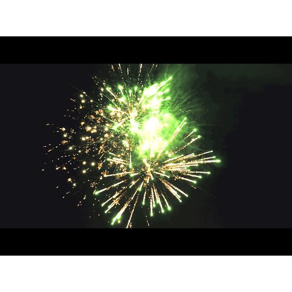 Батарея салютов Битва Цветов МЕГАПИР, фото , изображение 4