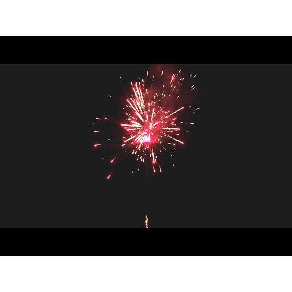 Батарея салютов Битва Цветов МЕГАПИР, фото , изображение 5