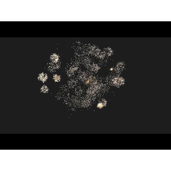 Батарея салютов Перо Павлина МЕГАПИР, фото , изображение 6