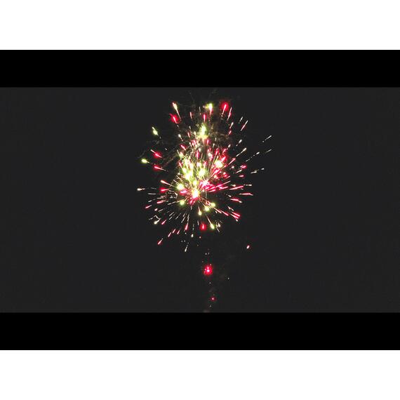 Батарея салютов Король Джунглей МЕГАПИР, фото , изображение 6