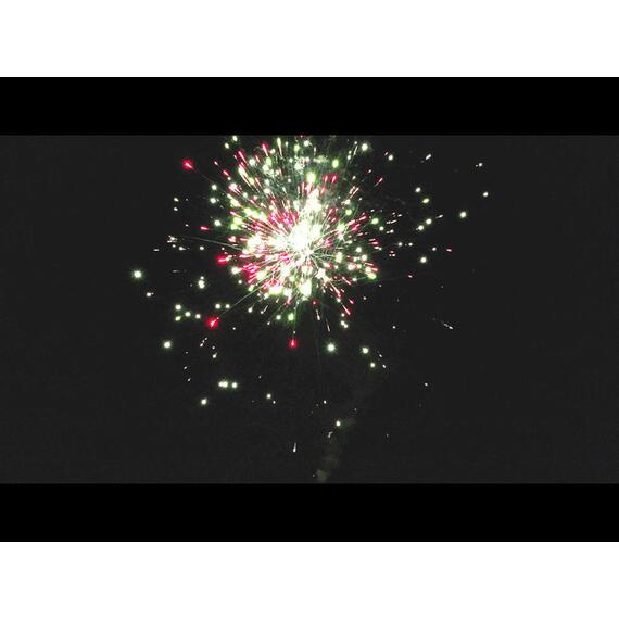 Батарея салютов Король Джунглей МЕГАПИР, фото , изображение 7