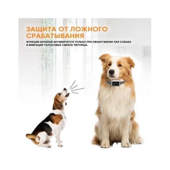 Ошейник антилай SMART-B 800, фото , изображение 4