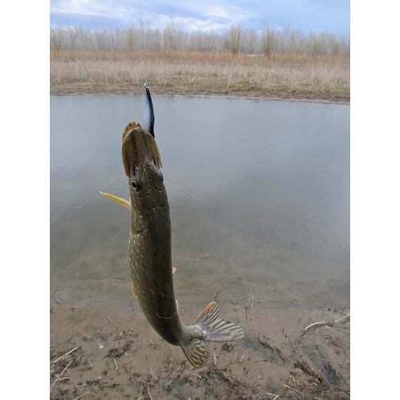 Блесна RB (Русская Блесна) Prohorovka (Прохоровка) 20 гр - 02, Цвет: 02, Вес блесны (г): 20, фото , изображение 4