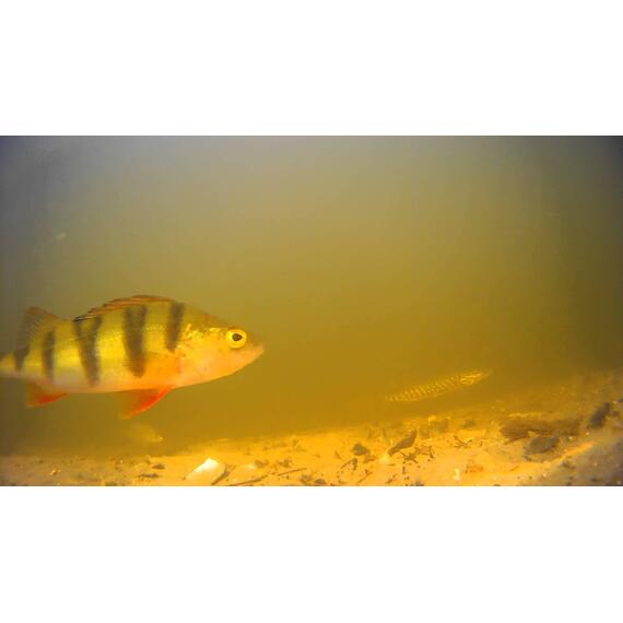 Подводная видеокамера Фишка 703 (24 диода - 12ir+12led) с функцией записи, фото , изображение 6