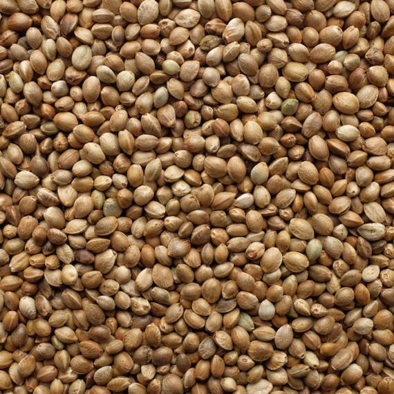 Компонент прикормки Vabik Семена конопли 150г, фото 