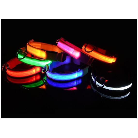 Ошейник с подсветкой для собаки, фото , изображение 4