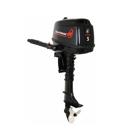Лодочный мотор Golfstream F5BMS, фото 