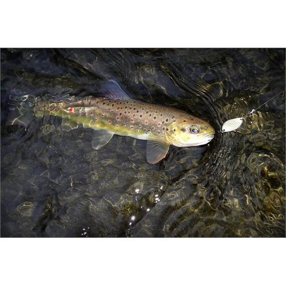 Блесна RB Relax 25гр -224, Цвет: 224, Вес блесны (г): 25, фото , изображение 4