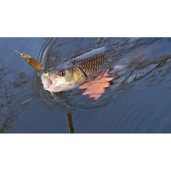 Блесна RB Делфи 17гр -103, Цвет: 103, Вес блесны (г): 17, фото , изображение 3