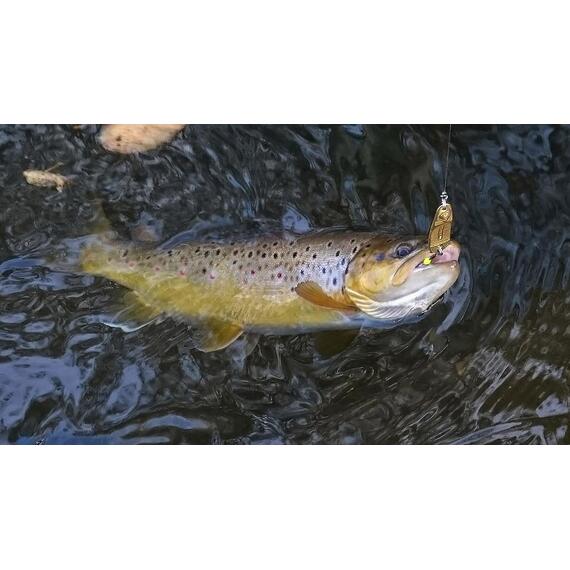 Блесна RB Делфи 17гр -103, Цвет: 103, Вес блесны (г): 17, фото , изображение 4