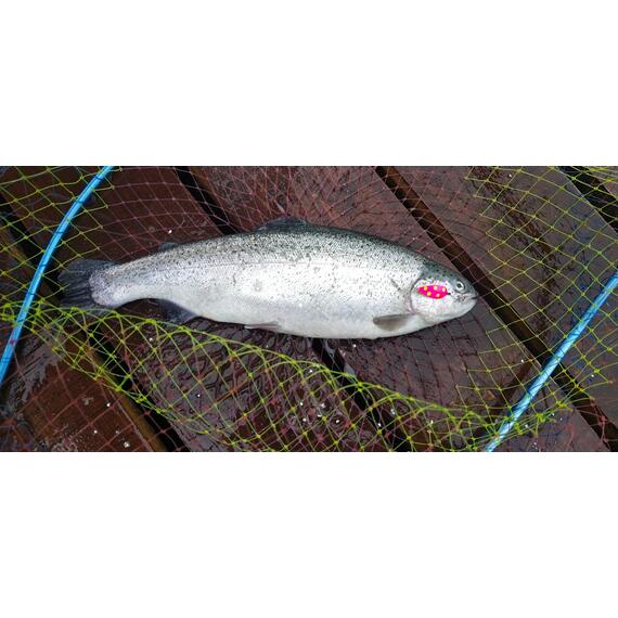 Блесна RB Pal Blade 38гр -217 34мм, Цвет: 217, Вес блесны (г): 38, фото , изображение 4