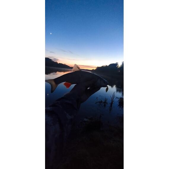 Блесна RB Miu Blade 35гр -353 32мм, Цвет: 353, Вес блесны (г): 35, фото , изображение 3