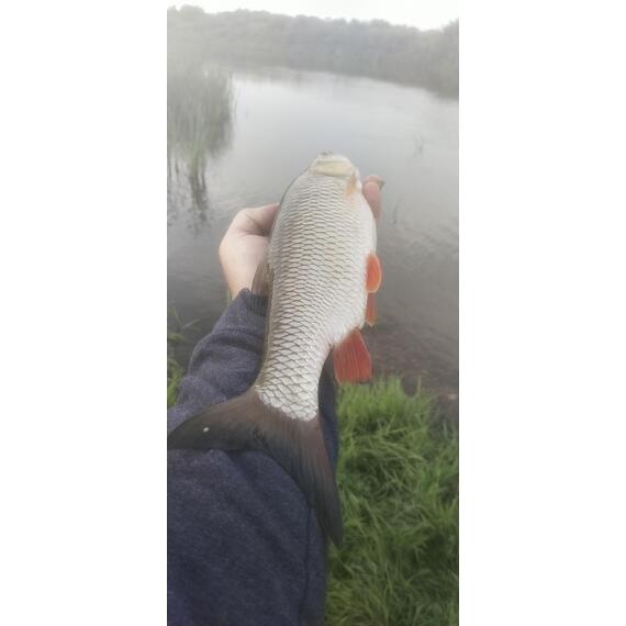 Блесна RB Miu Blade 35гр -353 32мм, Цвет: 353, Вес блесны (г): 35, фото , изображение 4