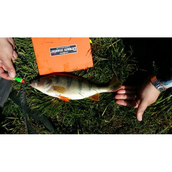 Блесна RB Effect 38гр -297, фото , изображение 5