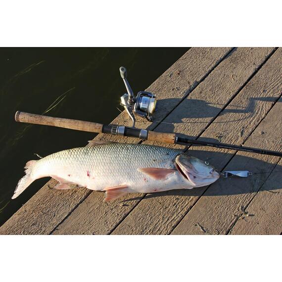 Блесна RB Делфи 10гр. -01, серебрение, Цвет: 01, Вес блесны (г): 10, фото , изображение 5