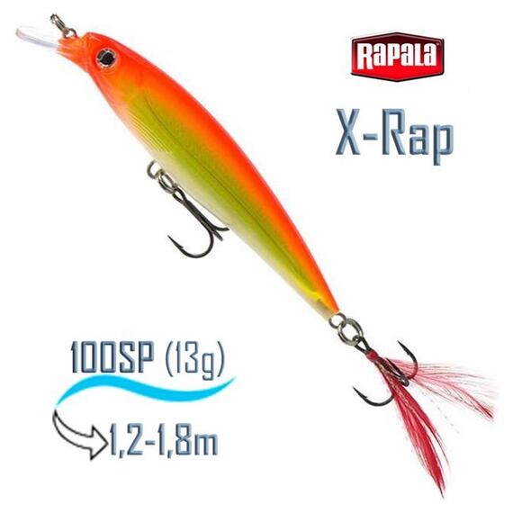 Воблер RAPALA X-Rap 10, HH, Цвет: HH, Вес гр: 13, Длина, мм: 100 мм, фото 